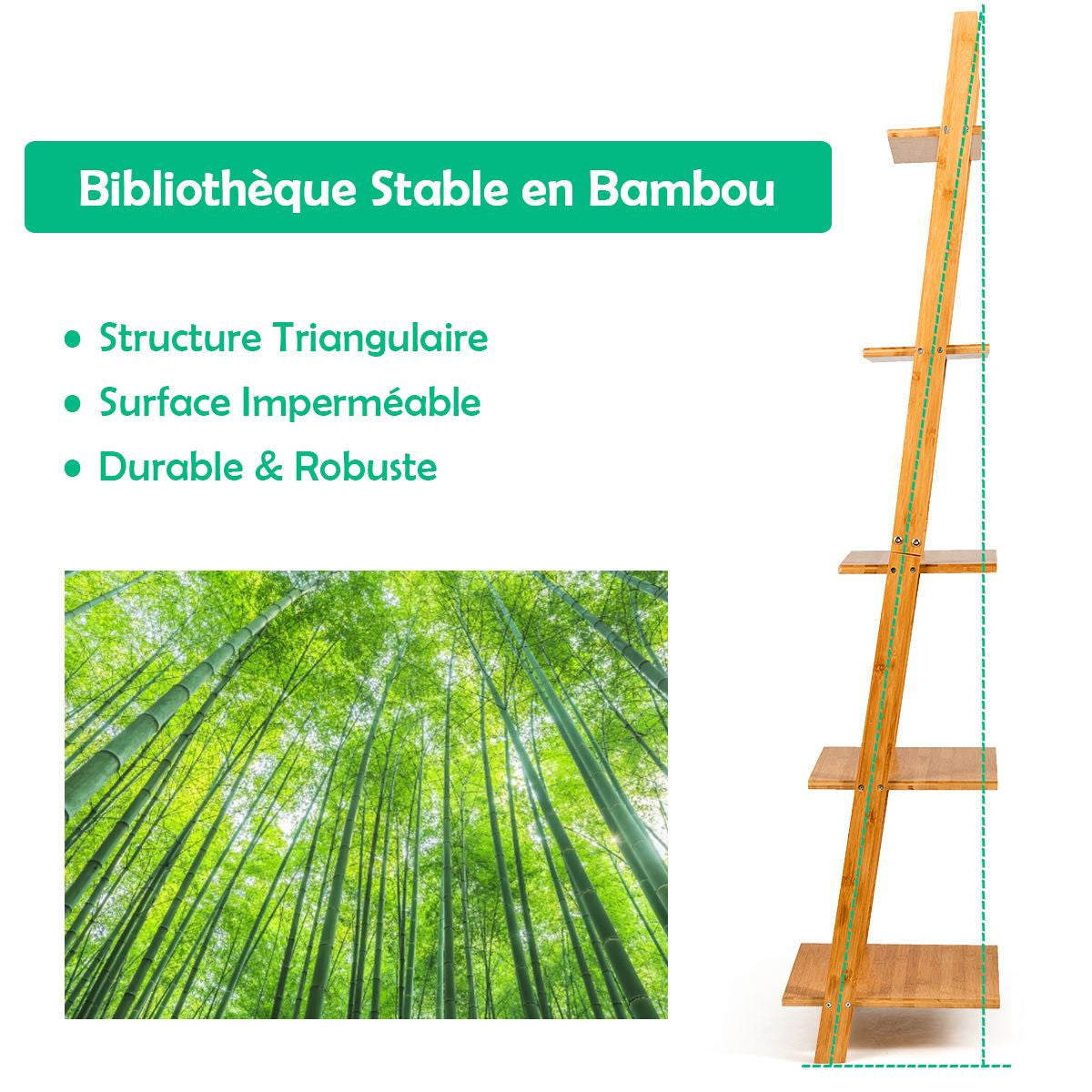 Étagère Échelle à 5 Niveaux Bibliothèque Moderne Penchée en Bambou Étagères d'Affichage Support pour Plantes